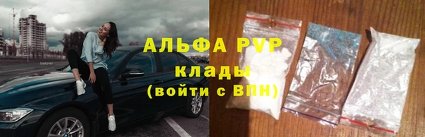 мяу мяу мука Баксан
