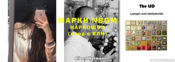крисы Аркадак