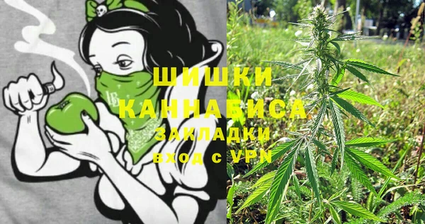 крисы Аркадак