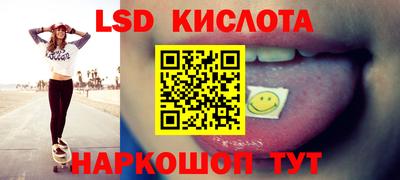 spice Камышлов