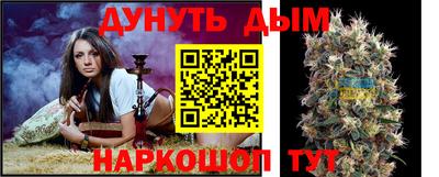 spice Камышлов