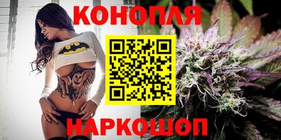 spice Камышлов