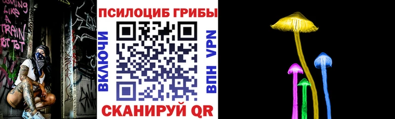 Псилоцибиновые грибы Psilocybe Кубинка